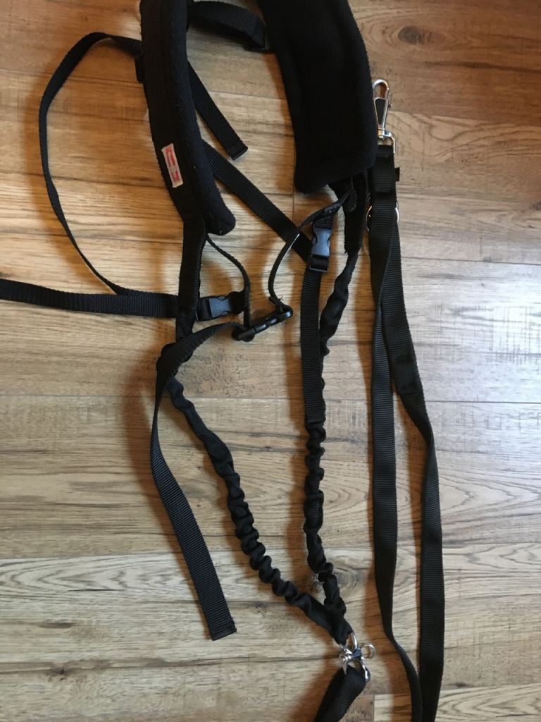 Cani X Bundle with 2 Large Non Stop Harnesses 
