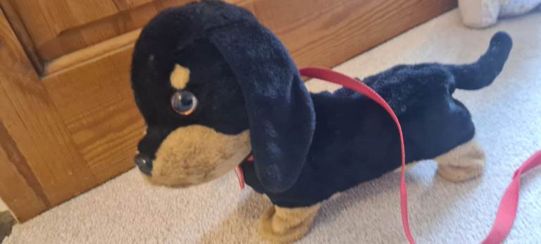 image for Interactive dog