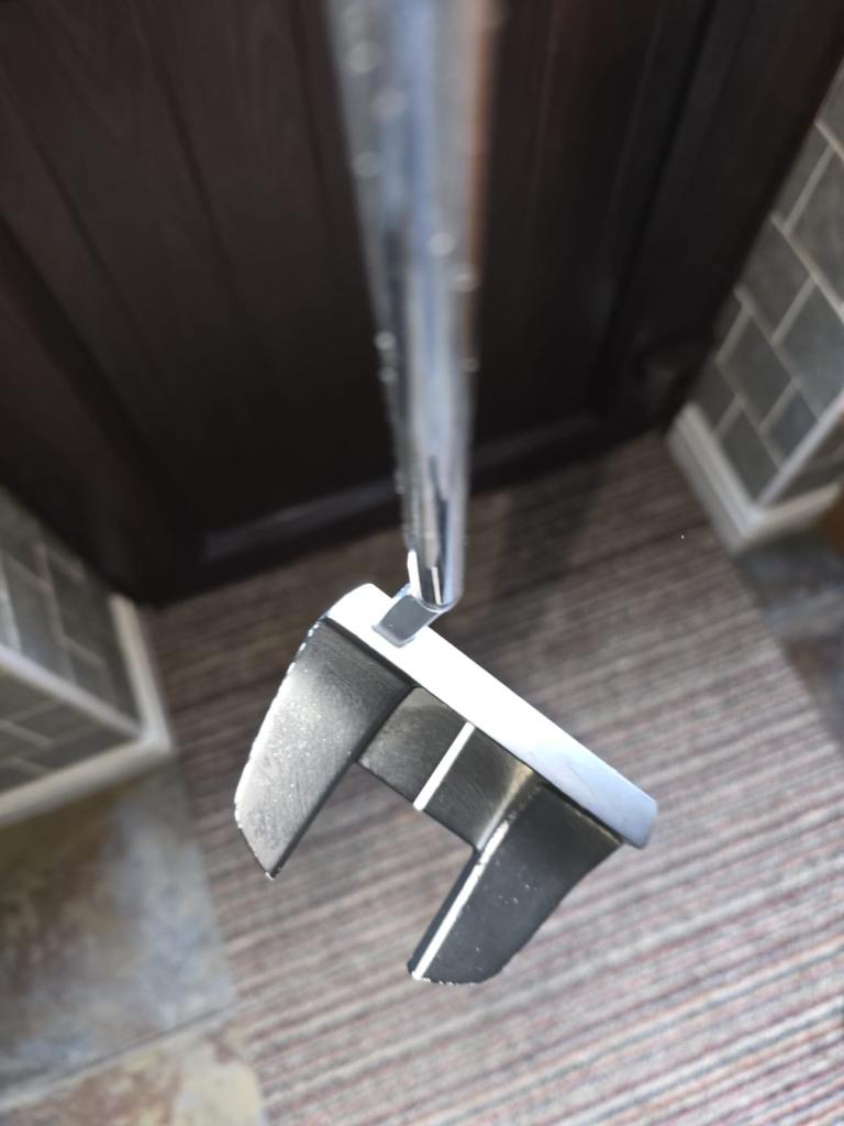 7 month old Ping Prime Tyne 4 Aputter