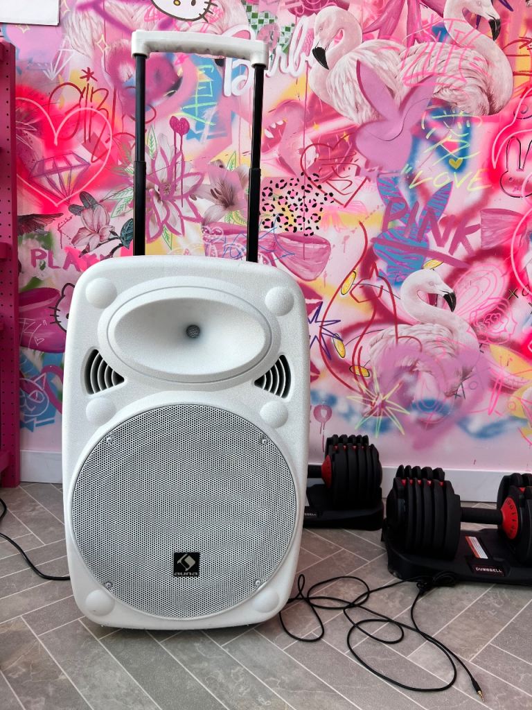 AUNA Portable Bluetooth PA Speaker with 2 Wireless Microphones - Built-in Battery