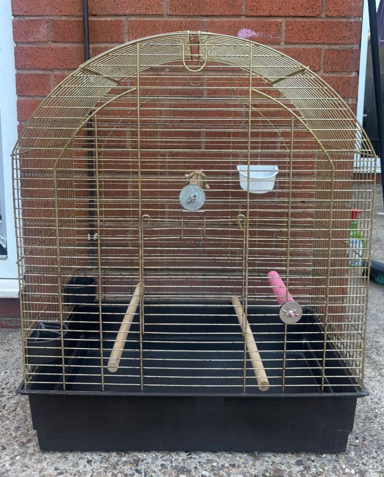 Bird cage