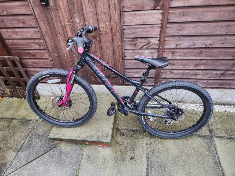 image for Carerra Luna girl's bike