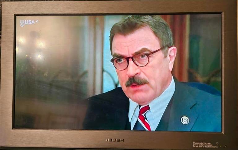 Bush BLCD26H8 26-inch Wide Screen LCD TV
