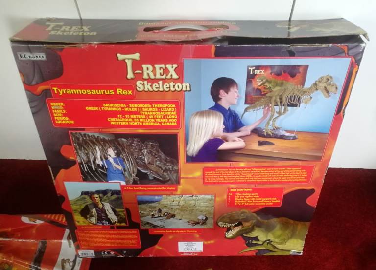 T-REX SKELETON 45"long Dinosaur Model kit 1/10 Scale Building STEM by B.C. Bones