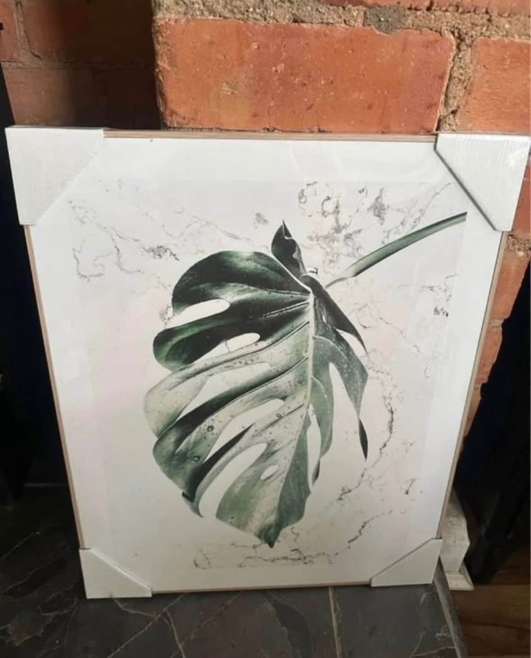 Orange Wallz Zalando Wet Leaf Print Picture Wooden Frame 40cm x 50cm New with Wrap