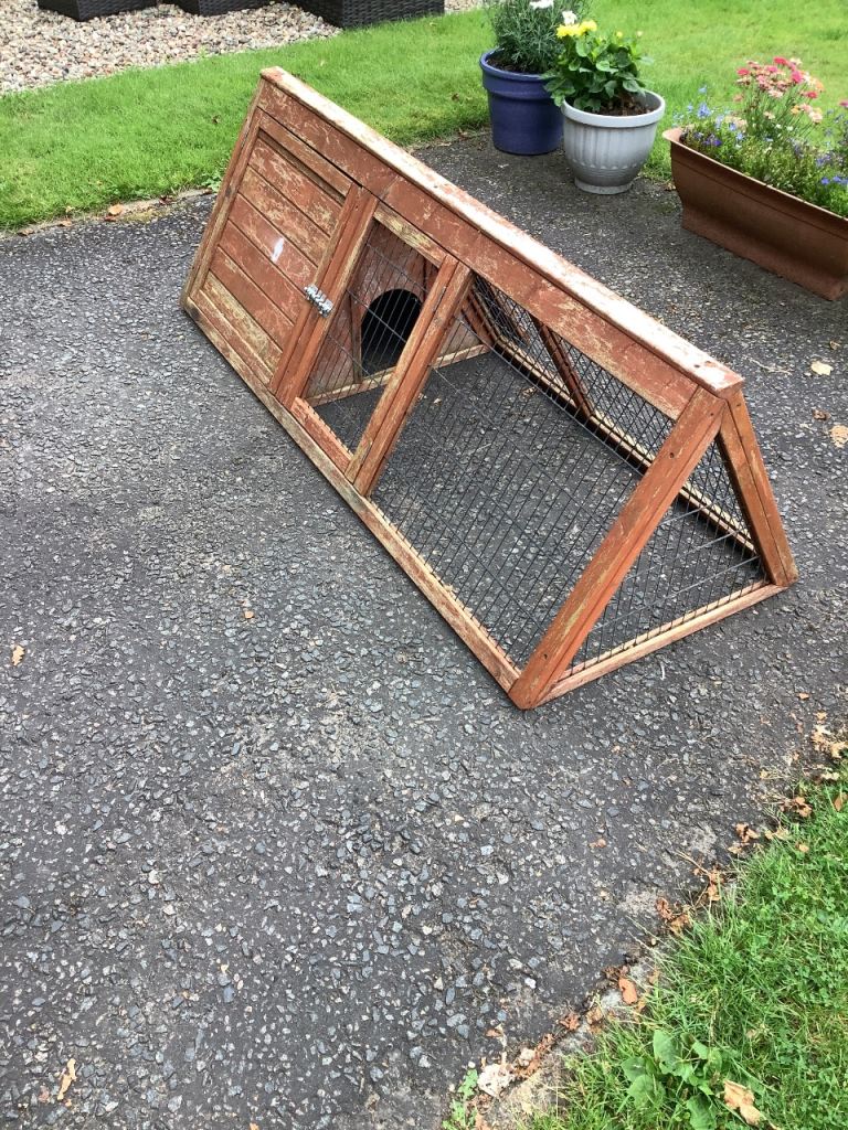 Outdoor Guinea pig / rabbit run