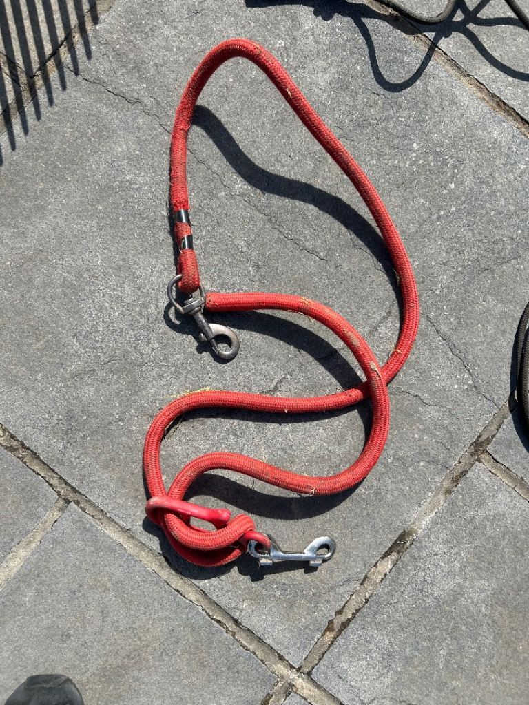 Horse lead line