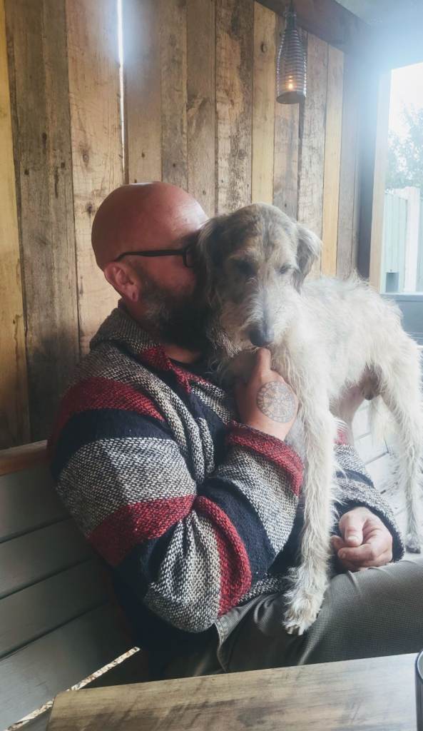 Lurcher/ Deerhound looking for a new home