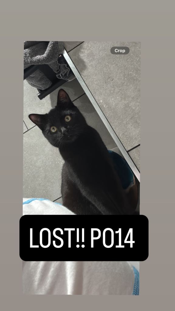 Missing since Friday!!