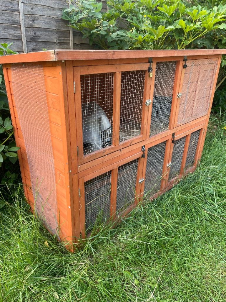 Two storey guinea pig hutch- used- still life left in it 