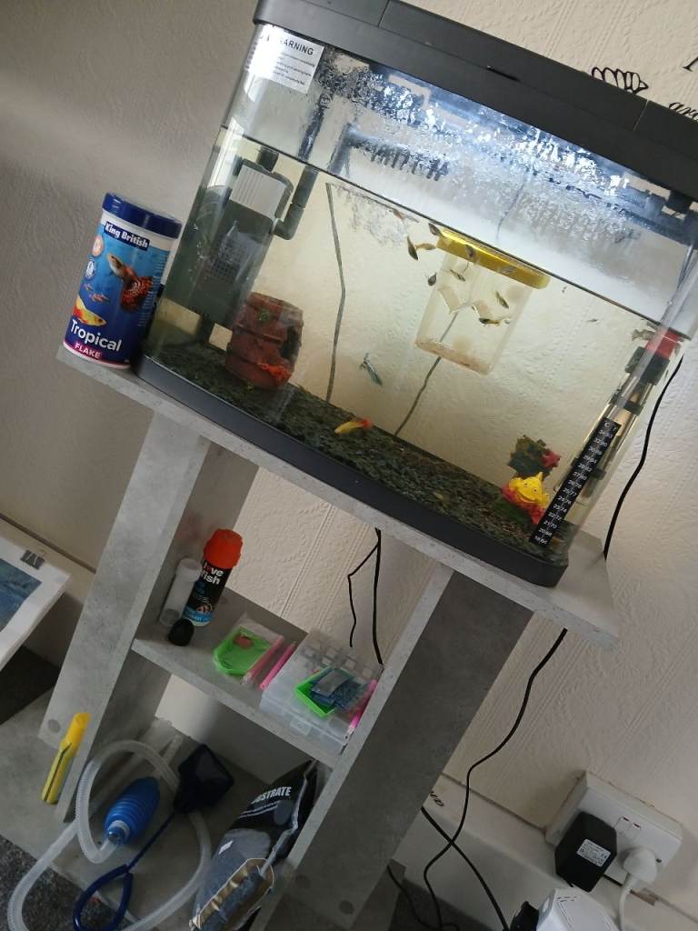40 litre tank also fish