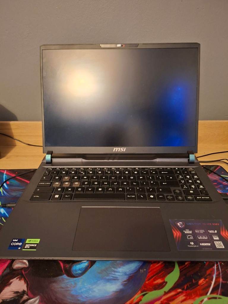 MSI Gaming Laptop