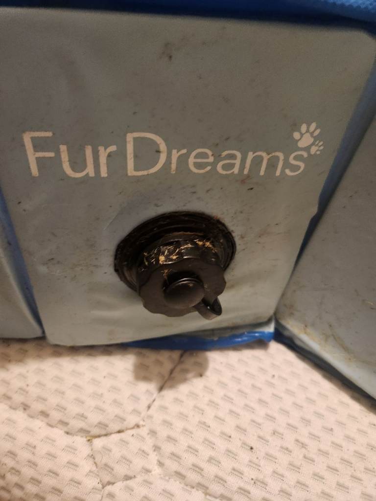 Fur Dreams Pool
