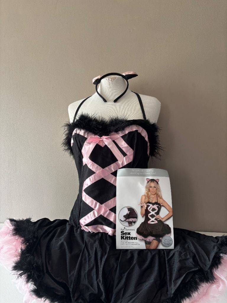 Sex Kitten fancy dress costume