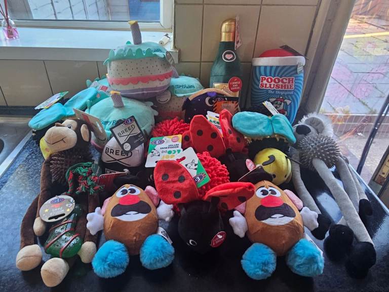 Dog toys 