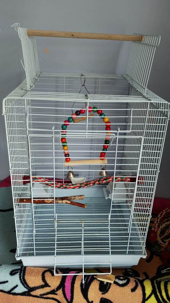 Bird cage 