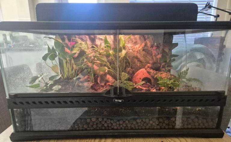 Exo terra medium low bio-active terrarium set up with canopy 