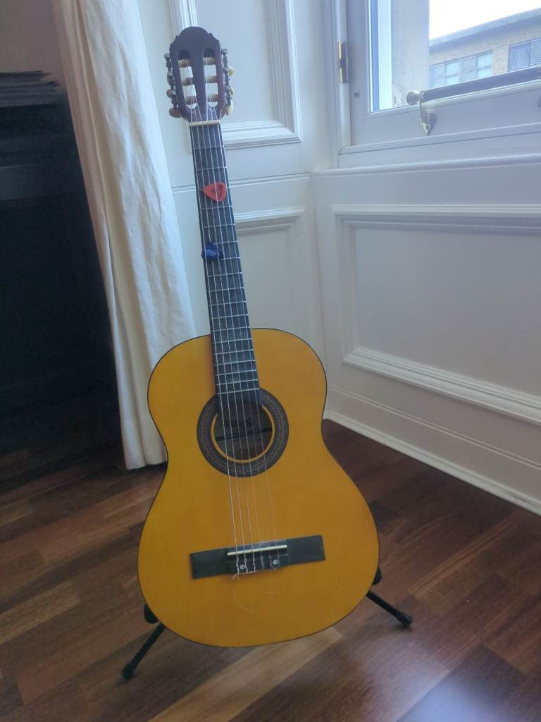 Half size acoustic guitar and case