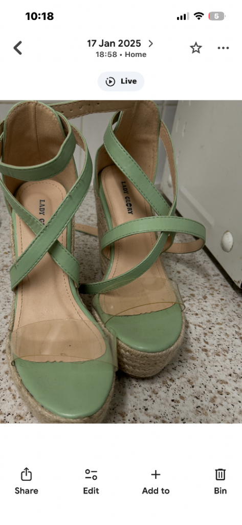 Green Platform Wedge Sandals - Lady Bird