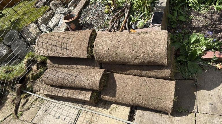 Turf