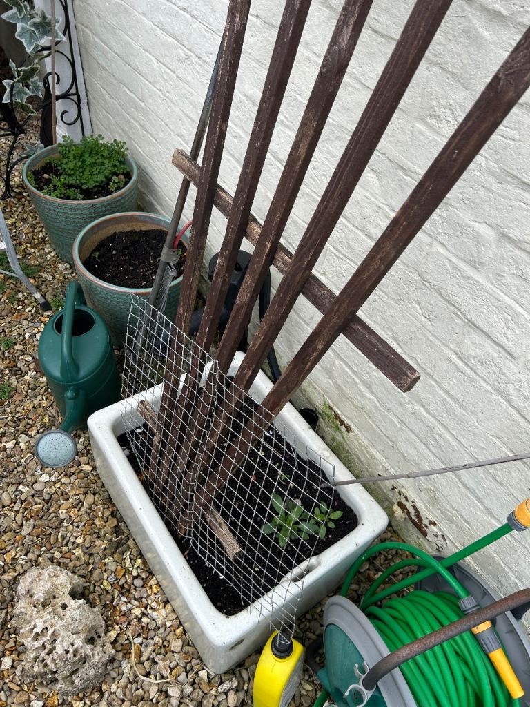 Garden furniture and stones