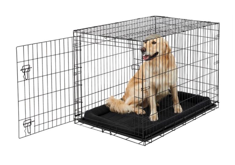Large cage
