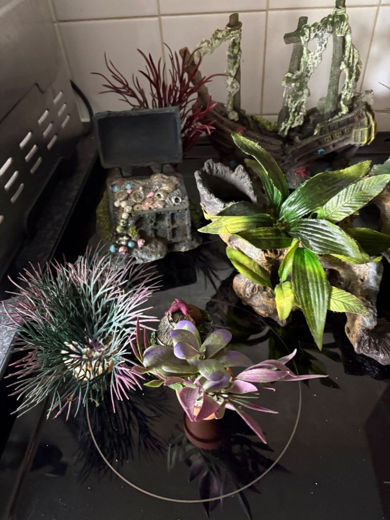 Aquarium ornaments 