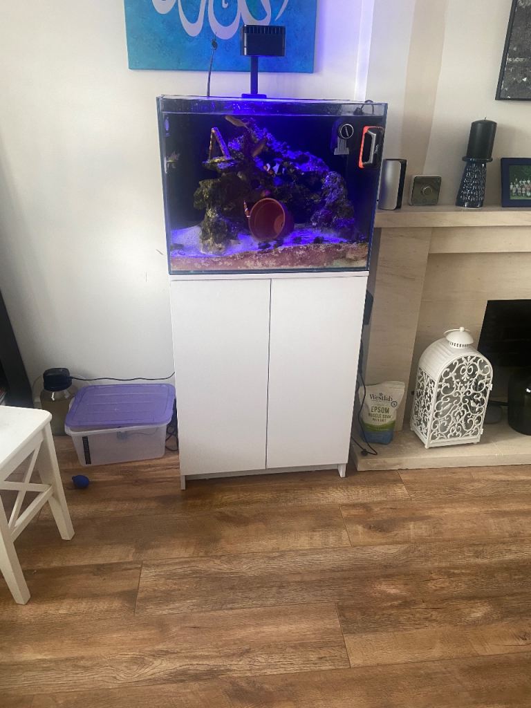 AquaOne MiniReef 120L Marine Reef Tank +  Sump, Equipment, Corals, Fish Full Set