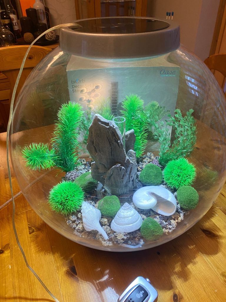 SOLD - Biorb Classic 30l Fish Tank