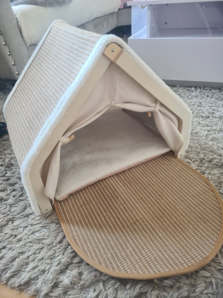 Cat ,kitten ,tent 