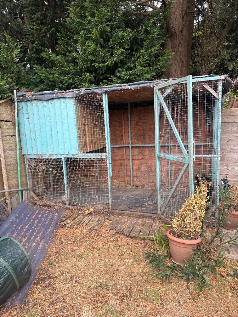 Xl chicken coop 