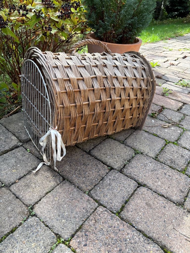 Wicker cat basket 