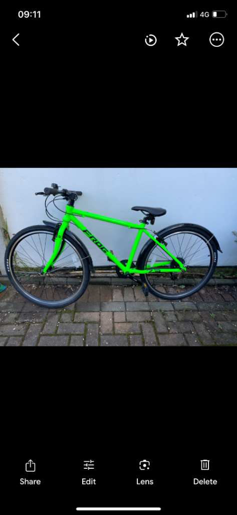Kids Frog Bike green