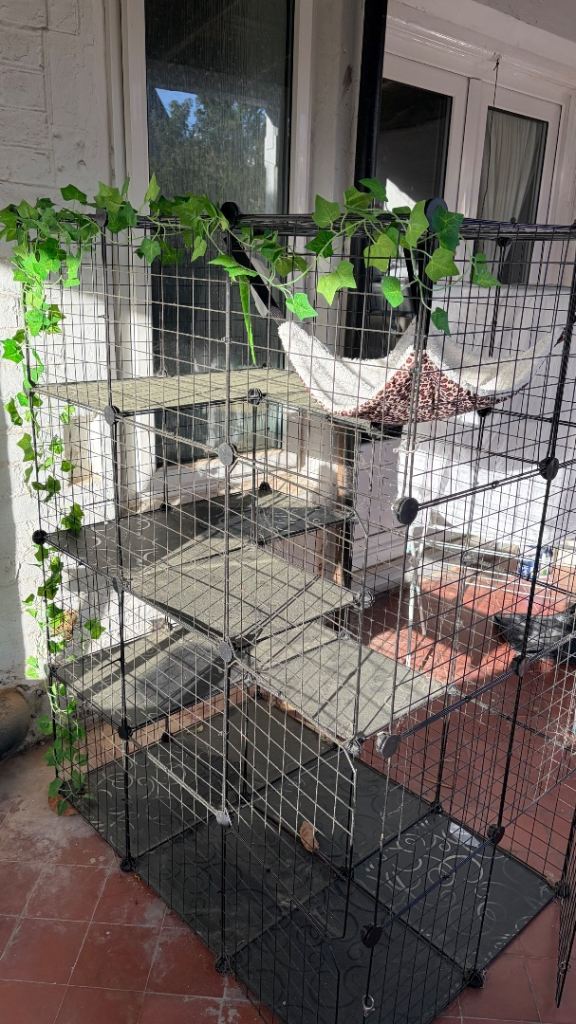 Catio/Pet Cage