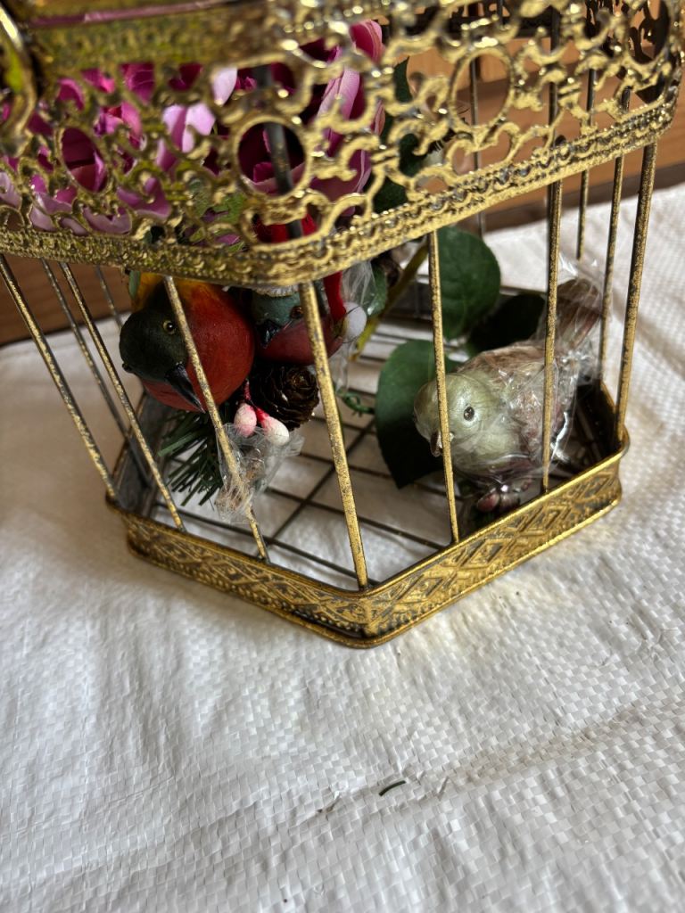 Garden bird cage