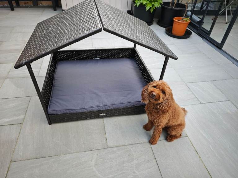 Outdoor raised rattan dog bed with cushion 