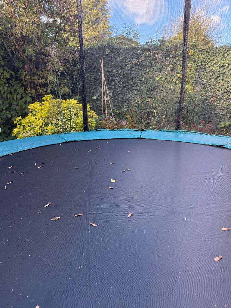 Genuine Skyhigh Trampoline 10ft