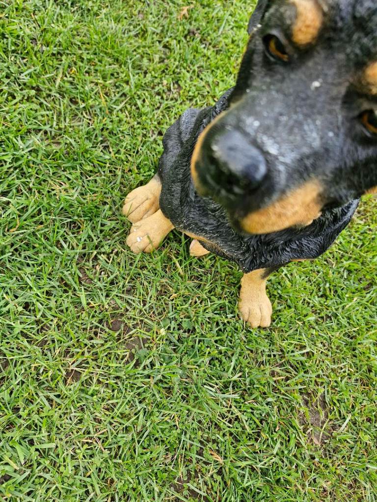 Figurine rottweiler 