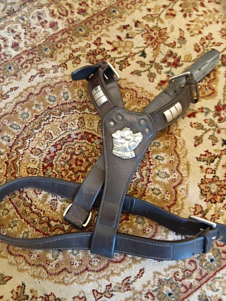 Beautifull  leather dog harness