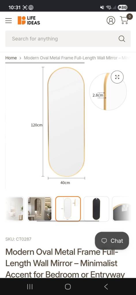 New Modern Oval Metal Frame Full-Length Wall Mirror – Gold