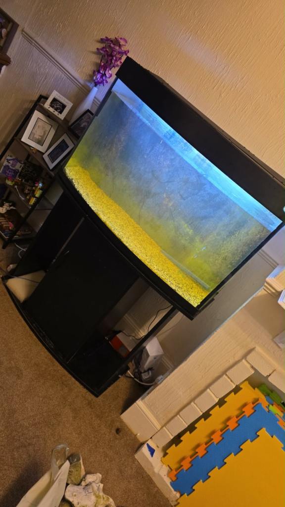 Fish tank