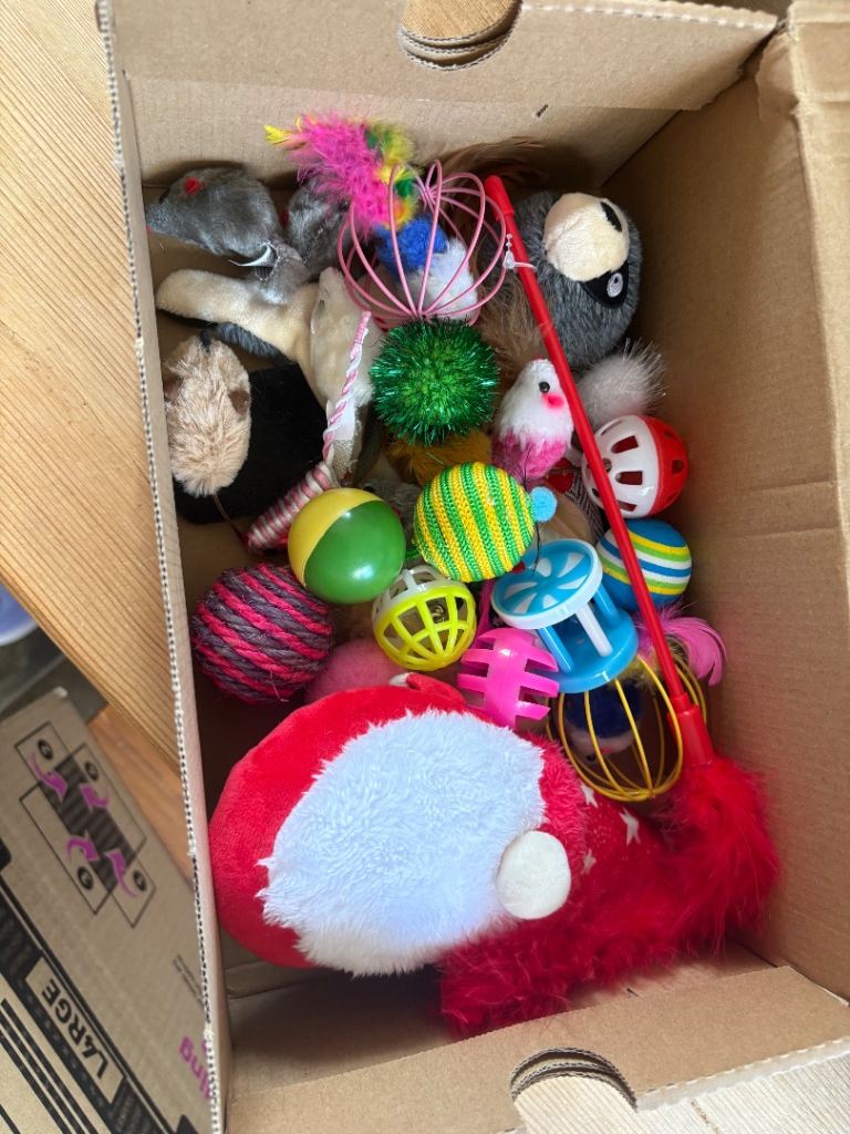 Cat Toy Bundle