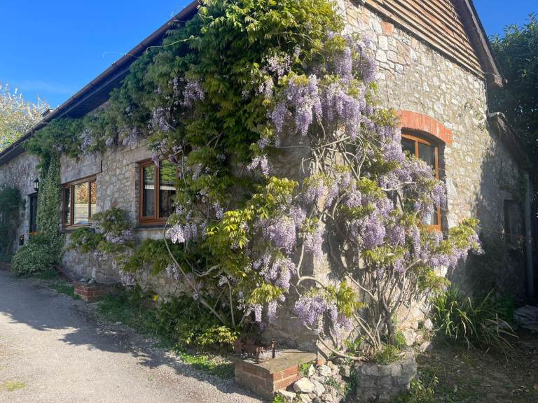 Room in Shared House