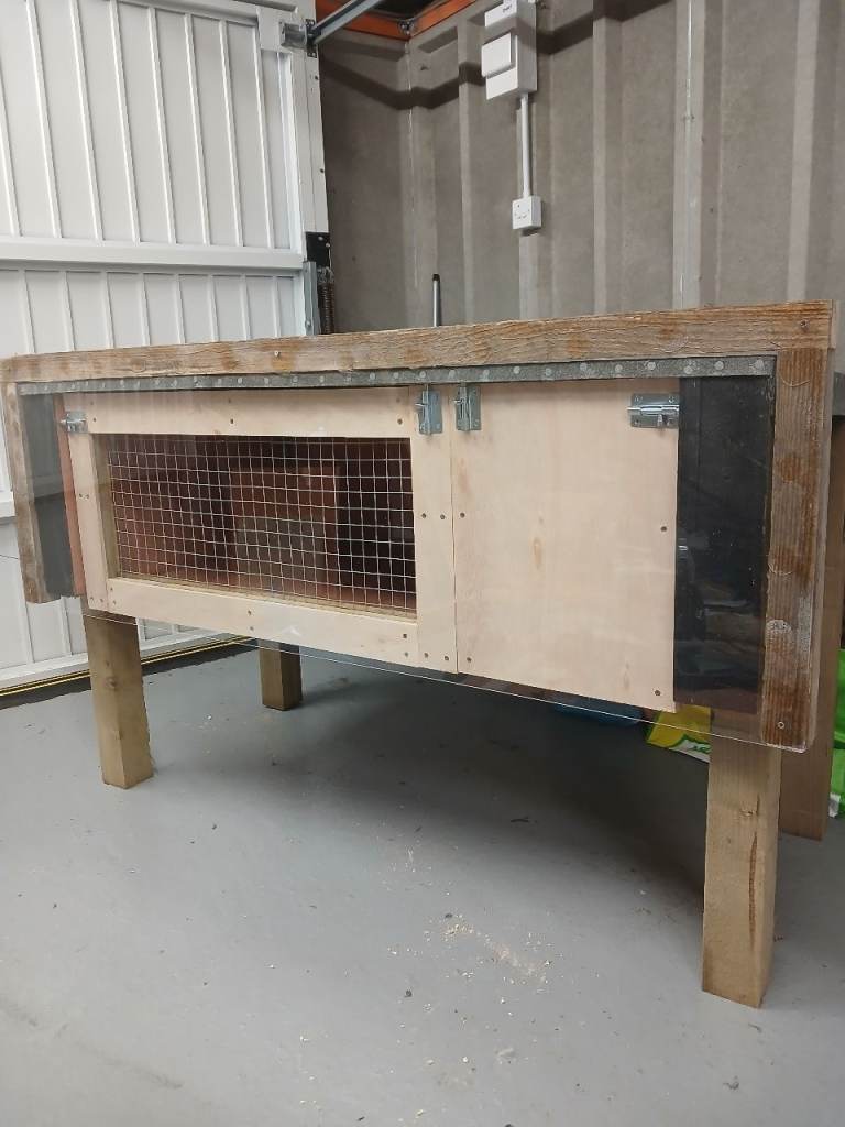 2 pet rabbits  one black & one white & grey