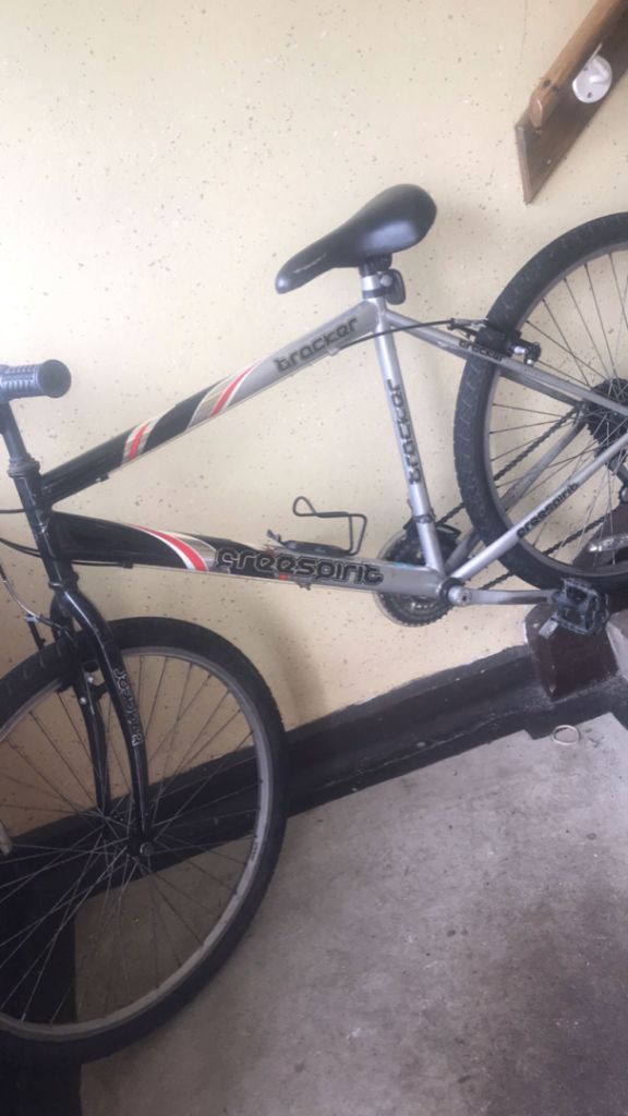 Mens mountain bike
