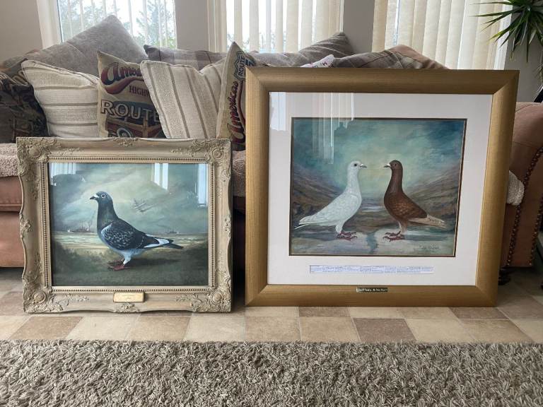 2 Racing pigeon paintings 1 Sold at House of Commons Animals war memorial fund