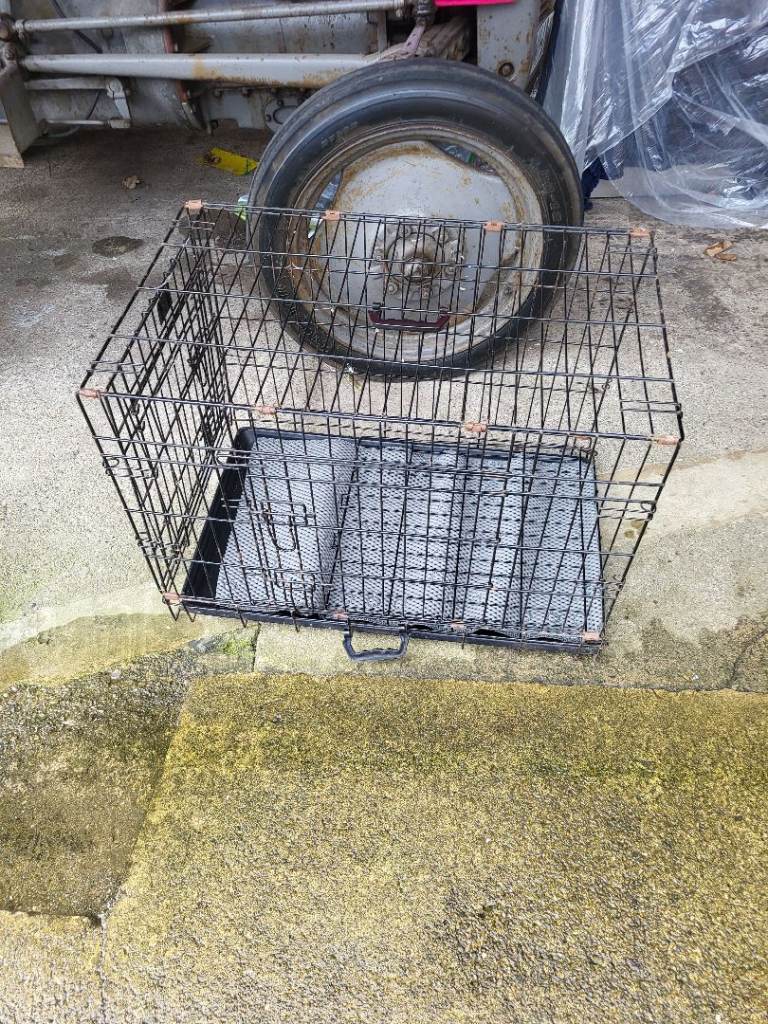 Dog cage 