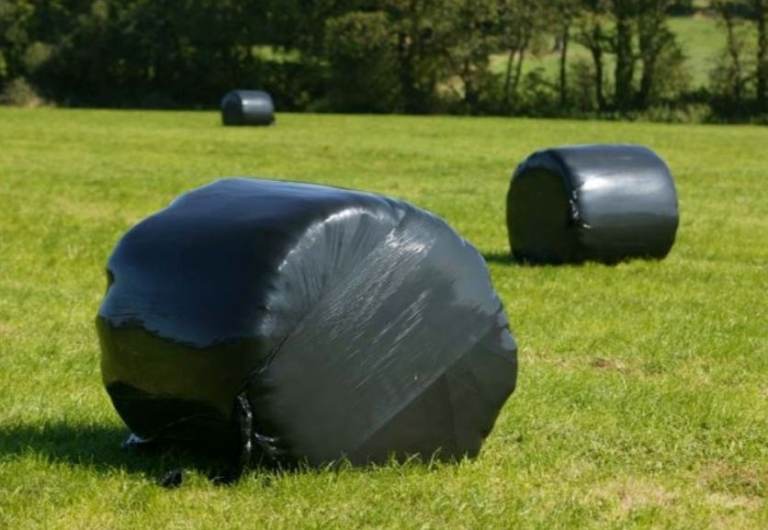 Haylage / Silage Bales Armagh