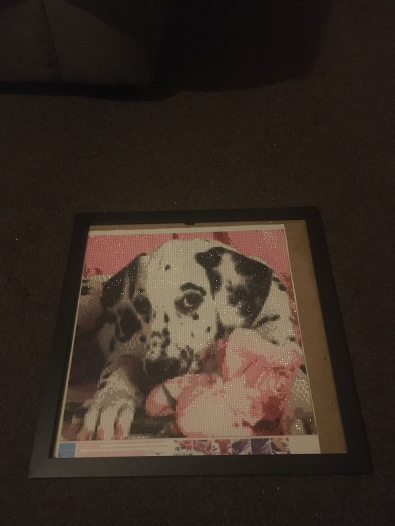 Picture of Dalmatian with frame 