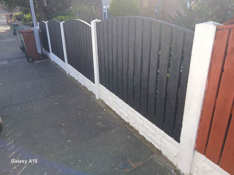 Fence painting 